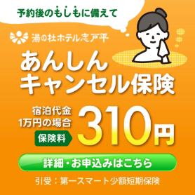 ギャラリー