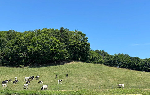 (一社)田野畑村産業開発公社